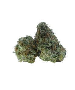 buy frozen cherry online