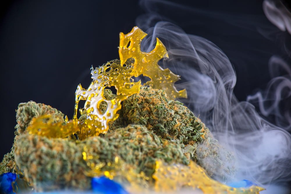 Cannabis Flower to Shatter