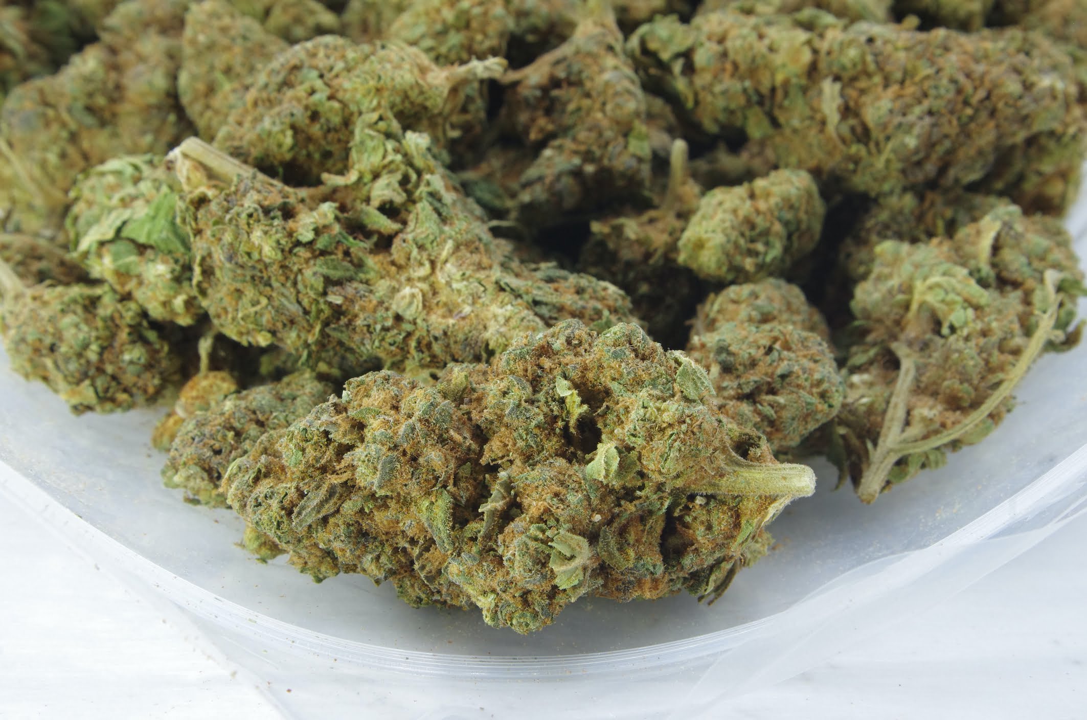 DIV Bag Mendo Breath (Oz Special)
