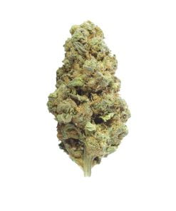 buy mendo breath online