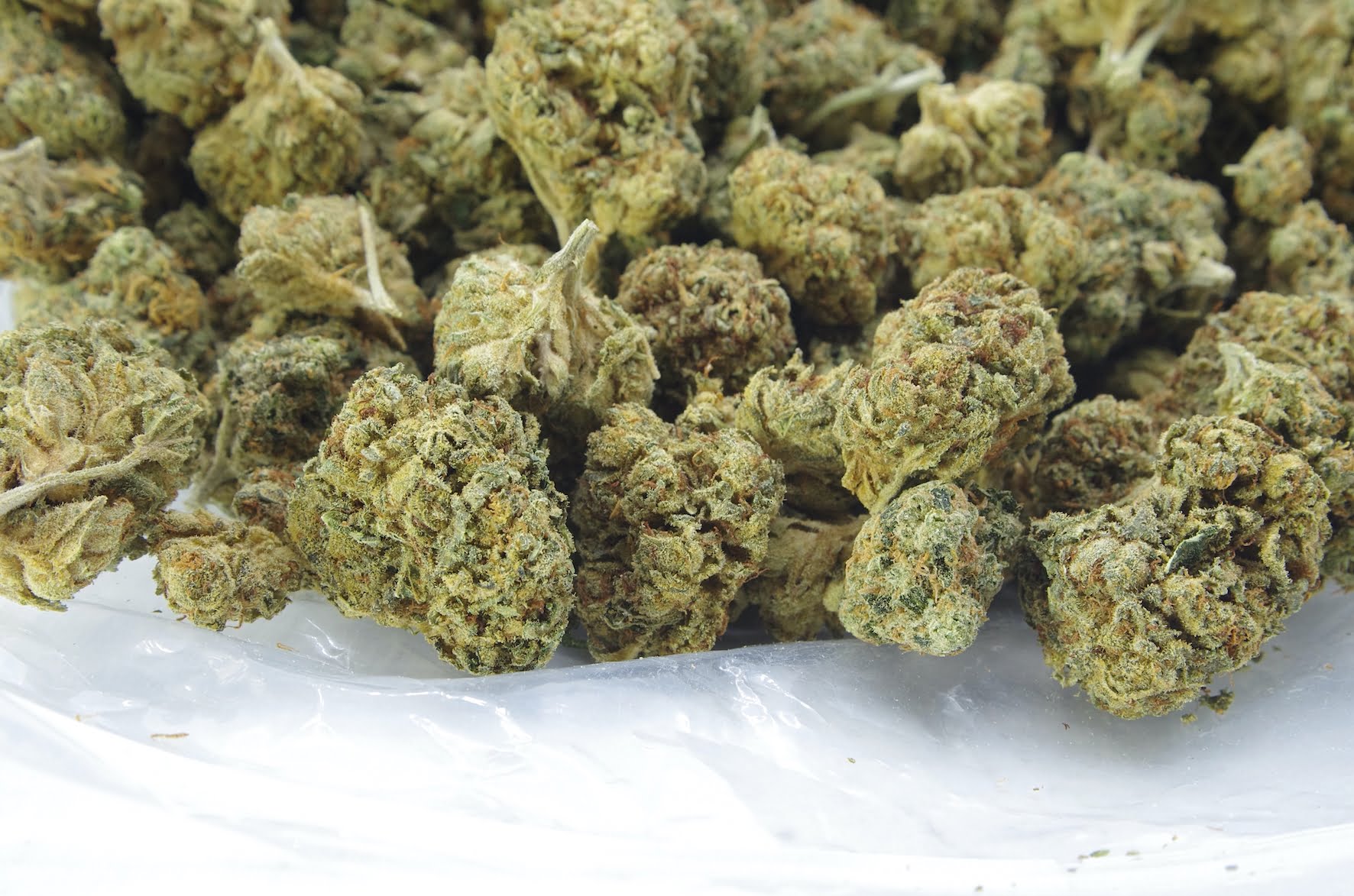 RK Bag Hash Plant Oz Special