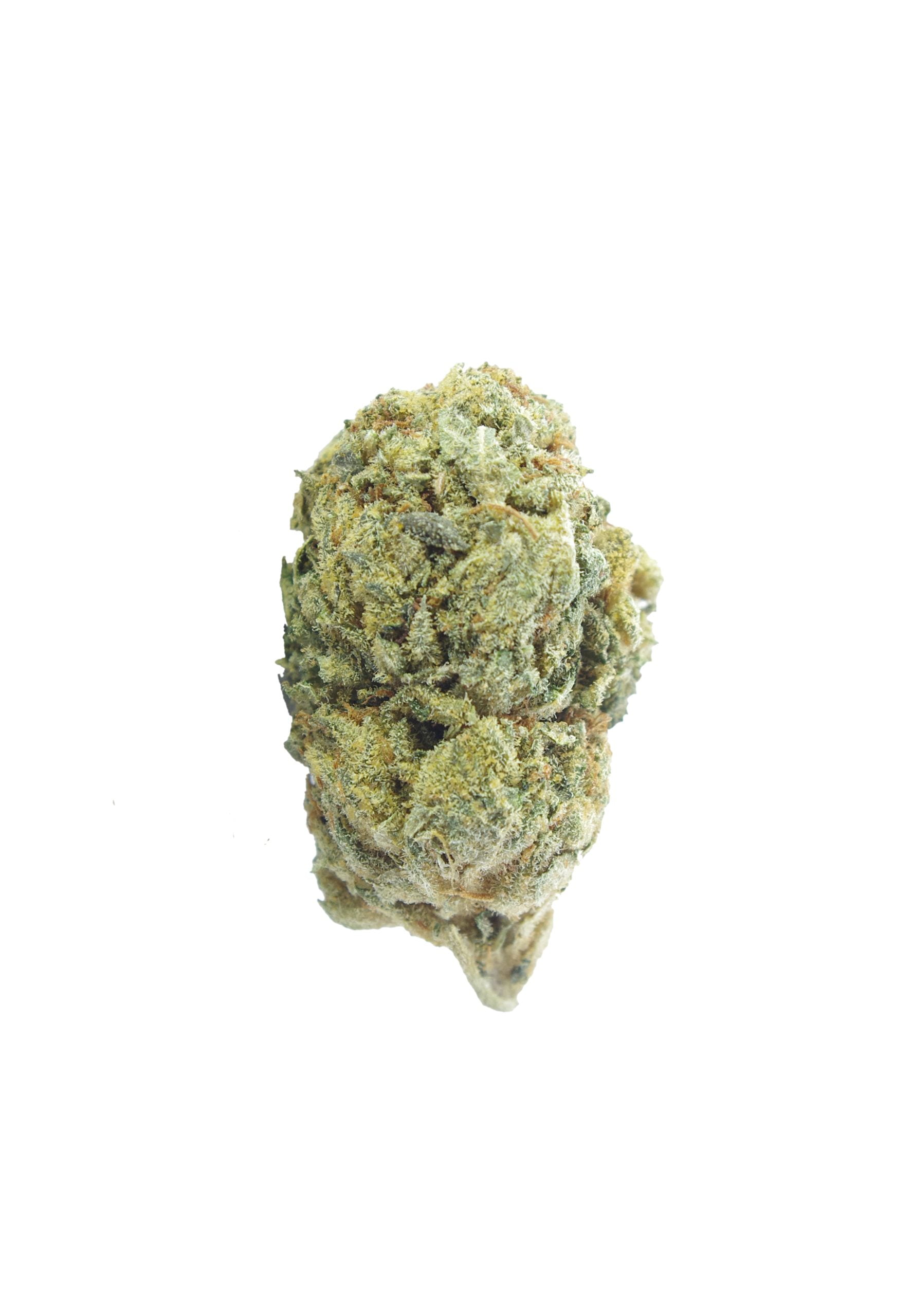 RK hashplant Bud scaled Hash Plant Oz Special