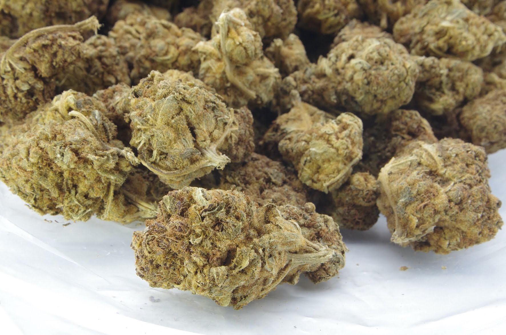 SD Bag Lilac Diesel (Oz Special)