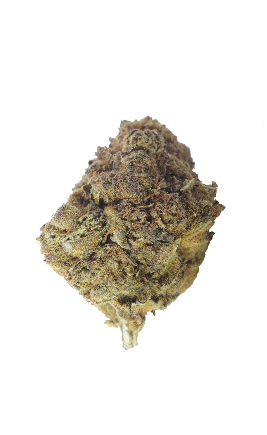SD Bud Lilac Diesel (Oz Special)
