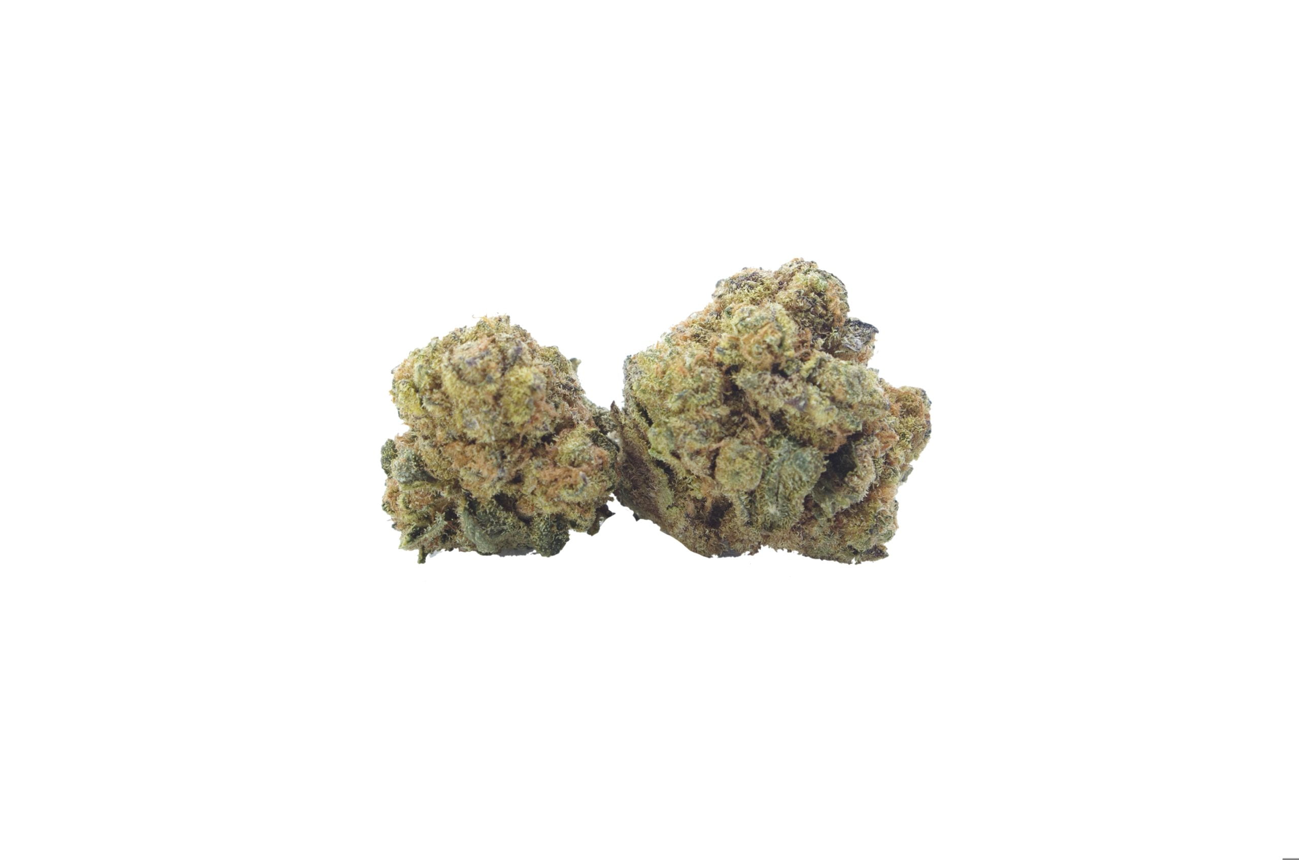 WG White Gold Sm buds scaled White Gold Smalls (Oz Special)