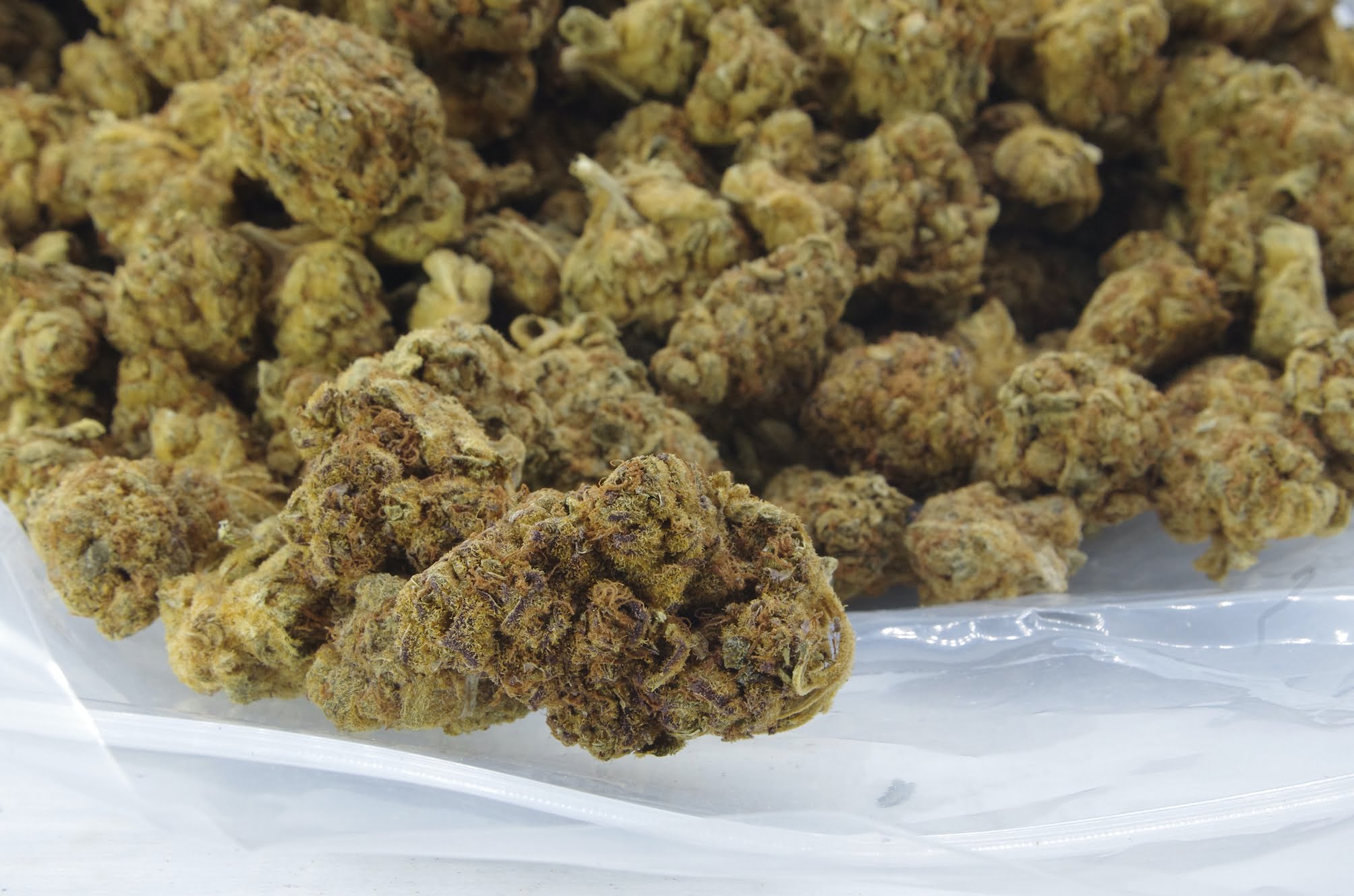 WP bag Hawaiian Snow (Oz Special)