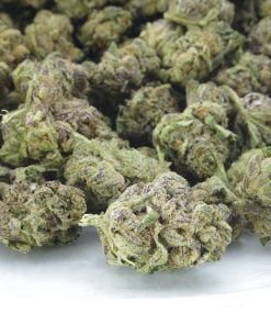 gelato mints bag