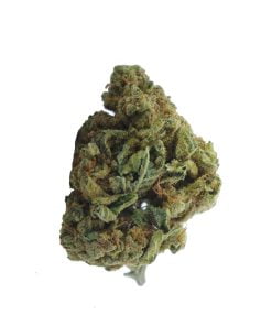 buy butterscotch online