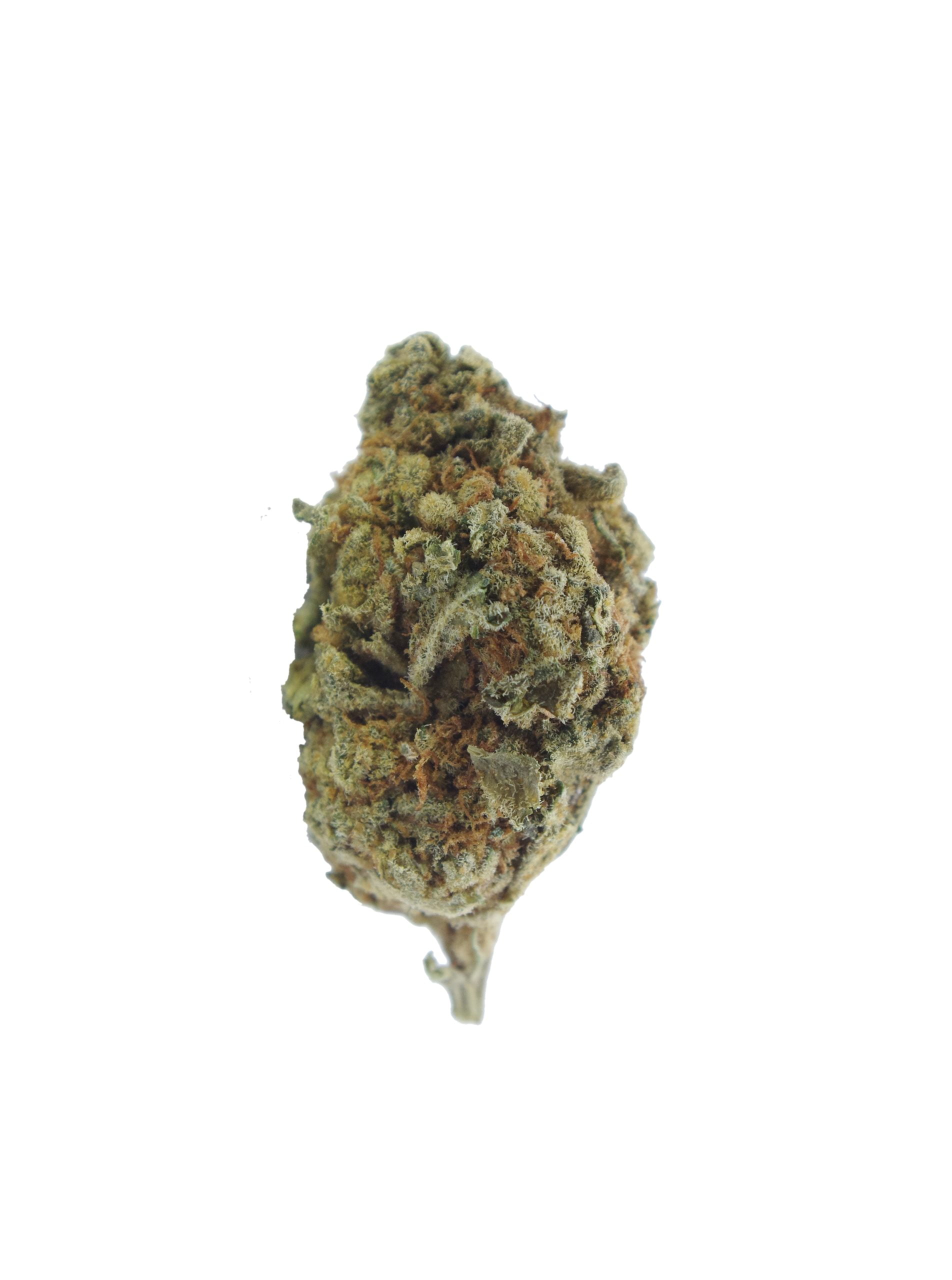 tunaaa bud scaled Tuna Kush Oz Special