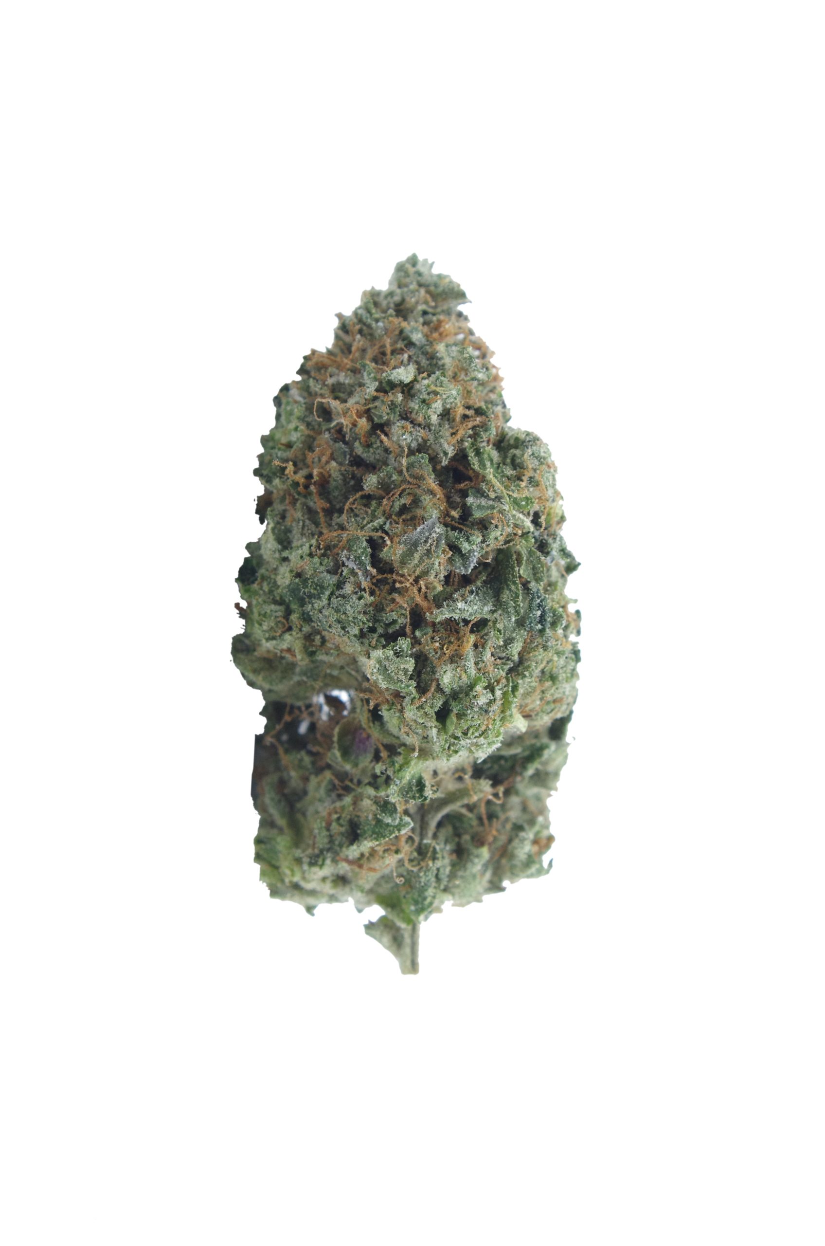 DB Oct12 Bud scaled Death Bubba