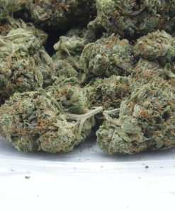 Db Oct12 Bag Db Oct12 Bag