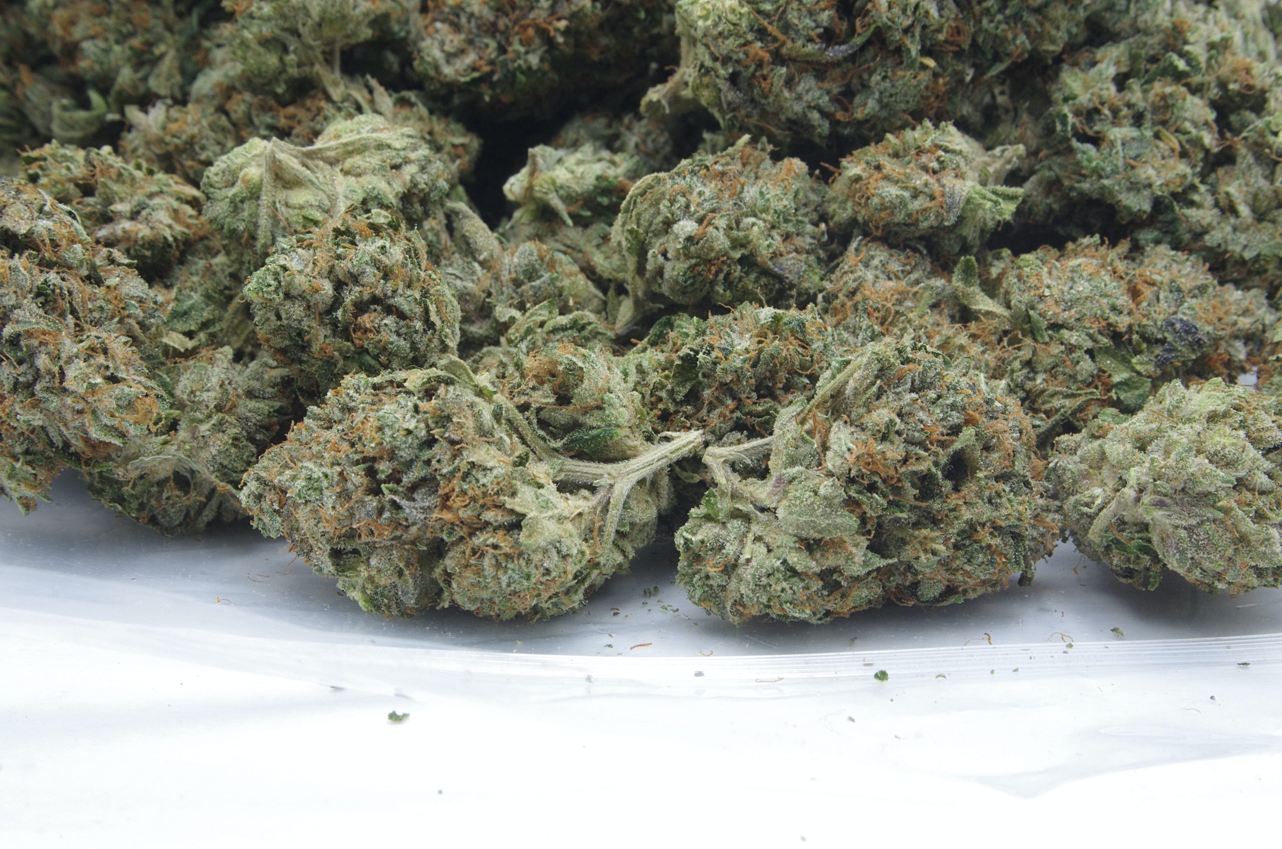 Db Oct12 Bag scaled Death Bubba