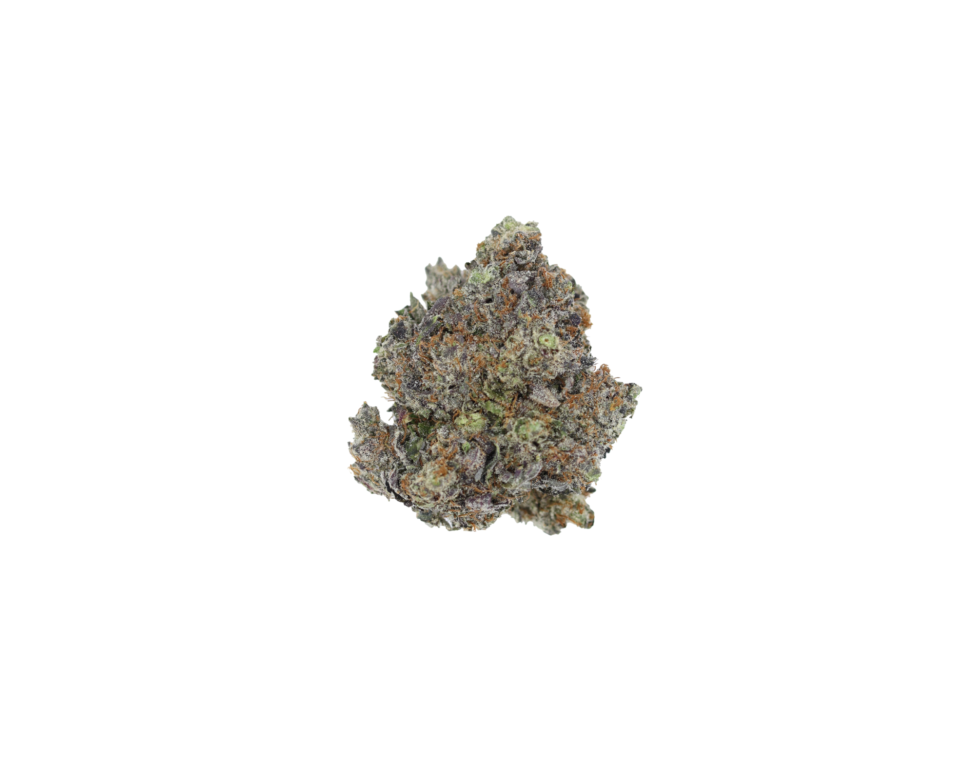GasMilitia BlackDeath Nug Gas Militia - Black Death