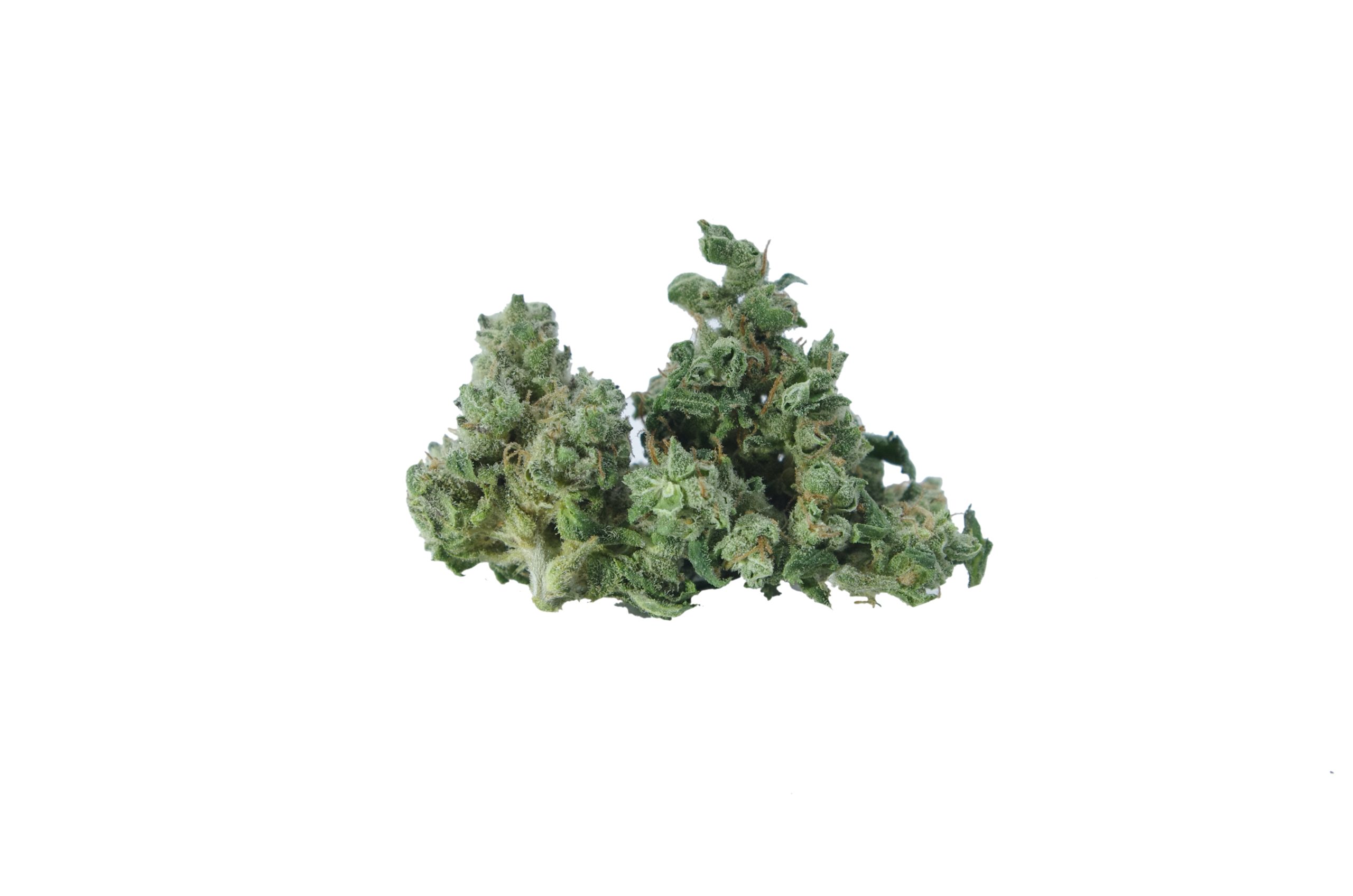 H Smalls bud white rhino scaled White Rhino Smalls (Oz Special)