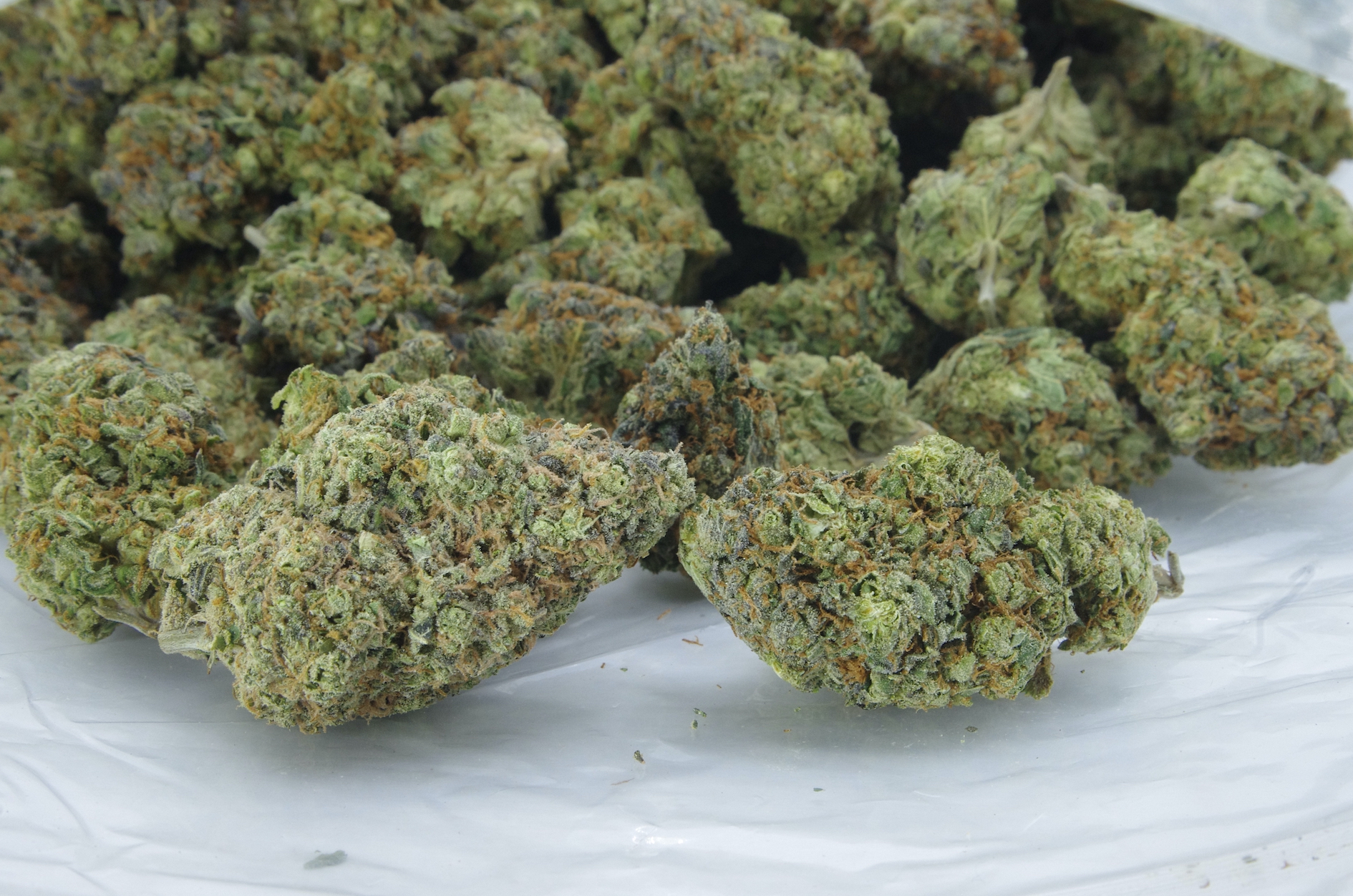 Platinum OG bag D large Platinum OG (Oz Special)