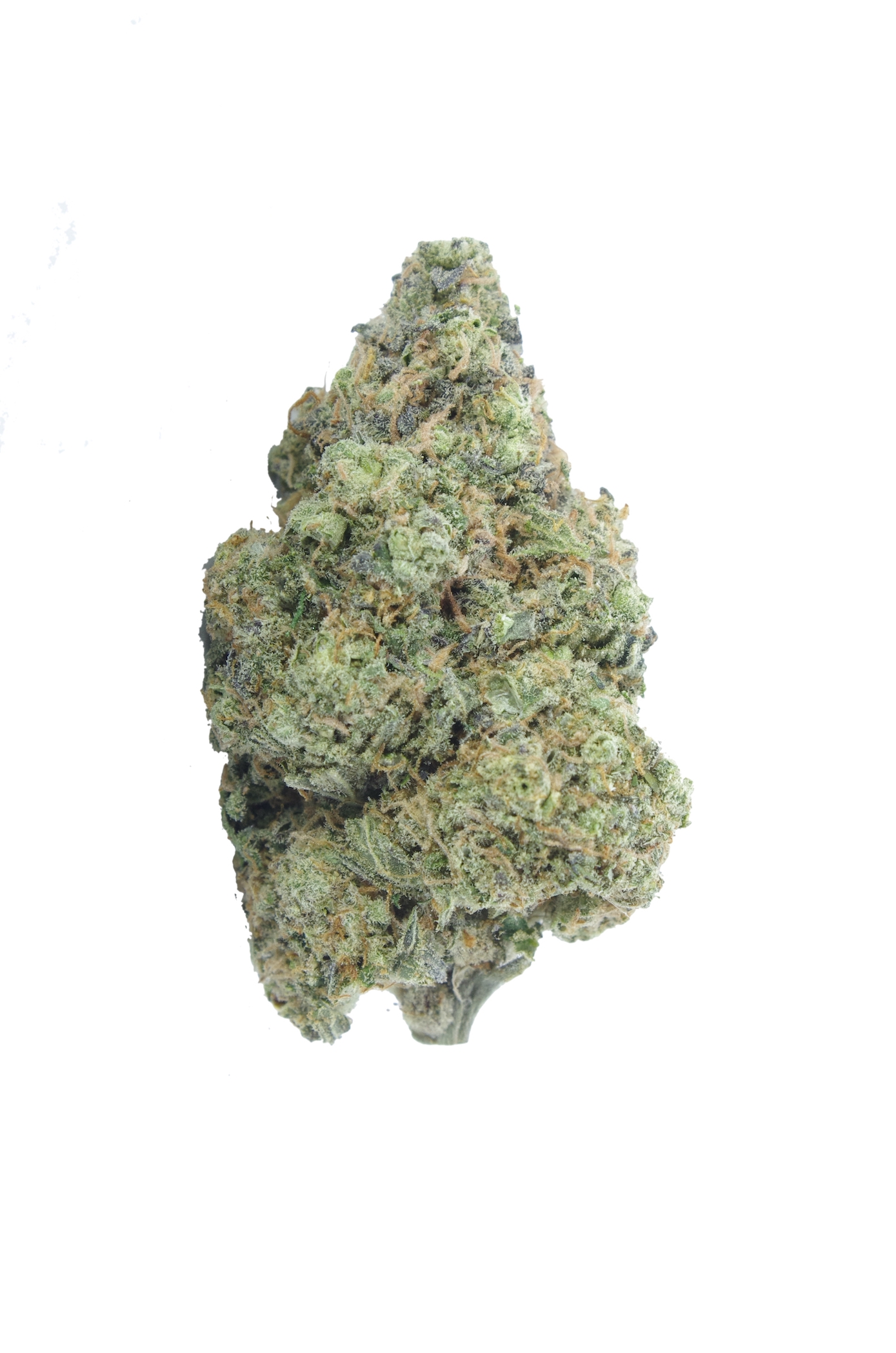 Platinum OG bud D strain Platinum OG (Oz Special)