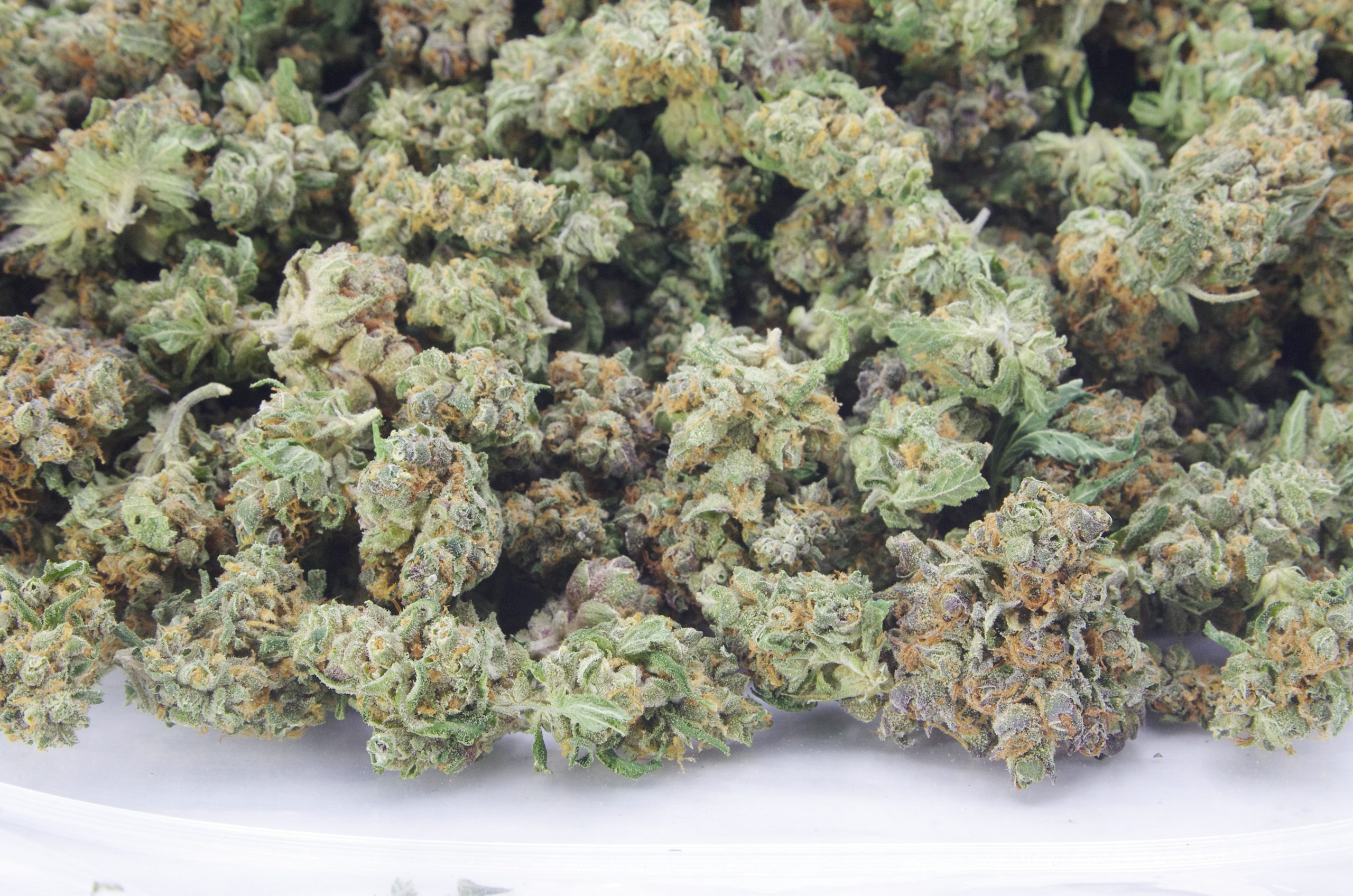 S Smalls bag Skittles scaled Zkittlez Mints Smalls (Oz Special)