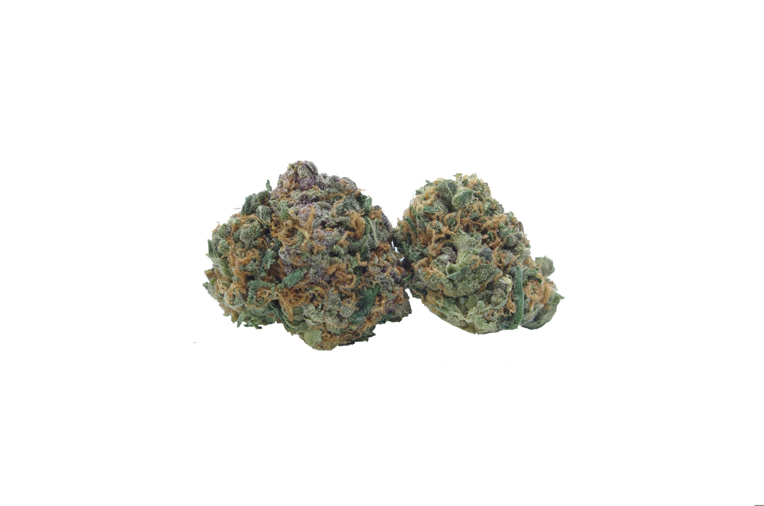 blue haze sm buds H7 smalls scaled Blue Haze Smalls (Oz Special)