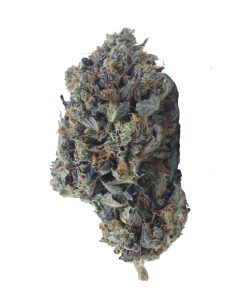 buy coma online