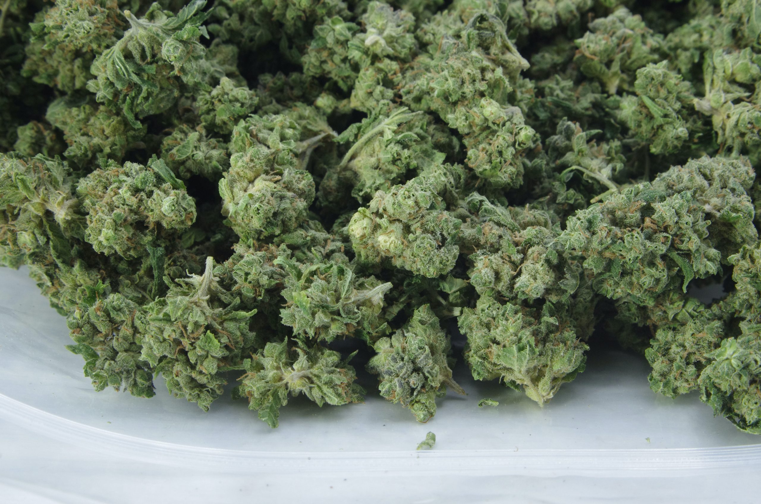 h smalls bag white rhino scaled White Rhino Smalls (Oz Special)