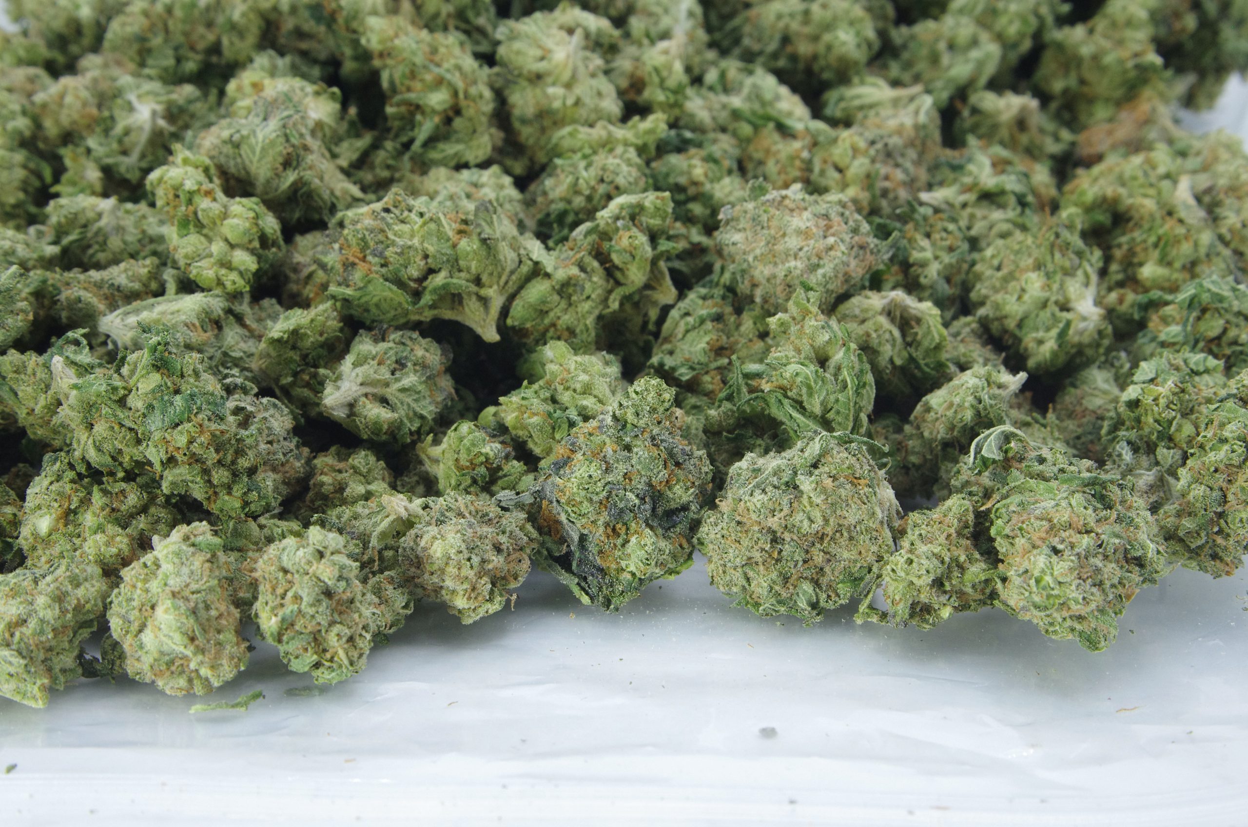 kush mints sm bag e smalls 1 scaled Triangle Mints Smalls (Oz Special)
