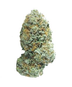 buy black rose online