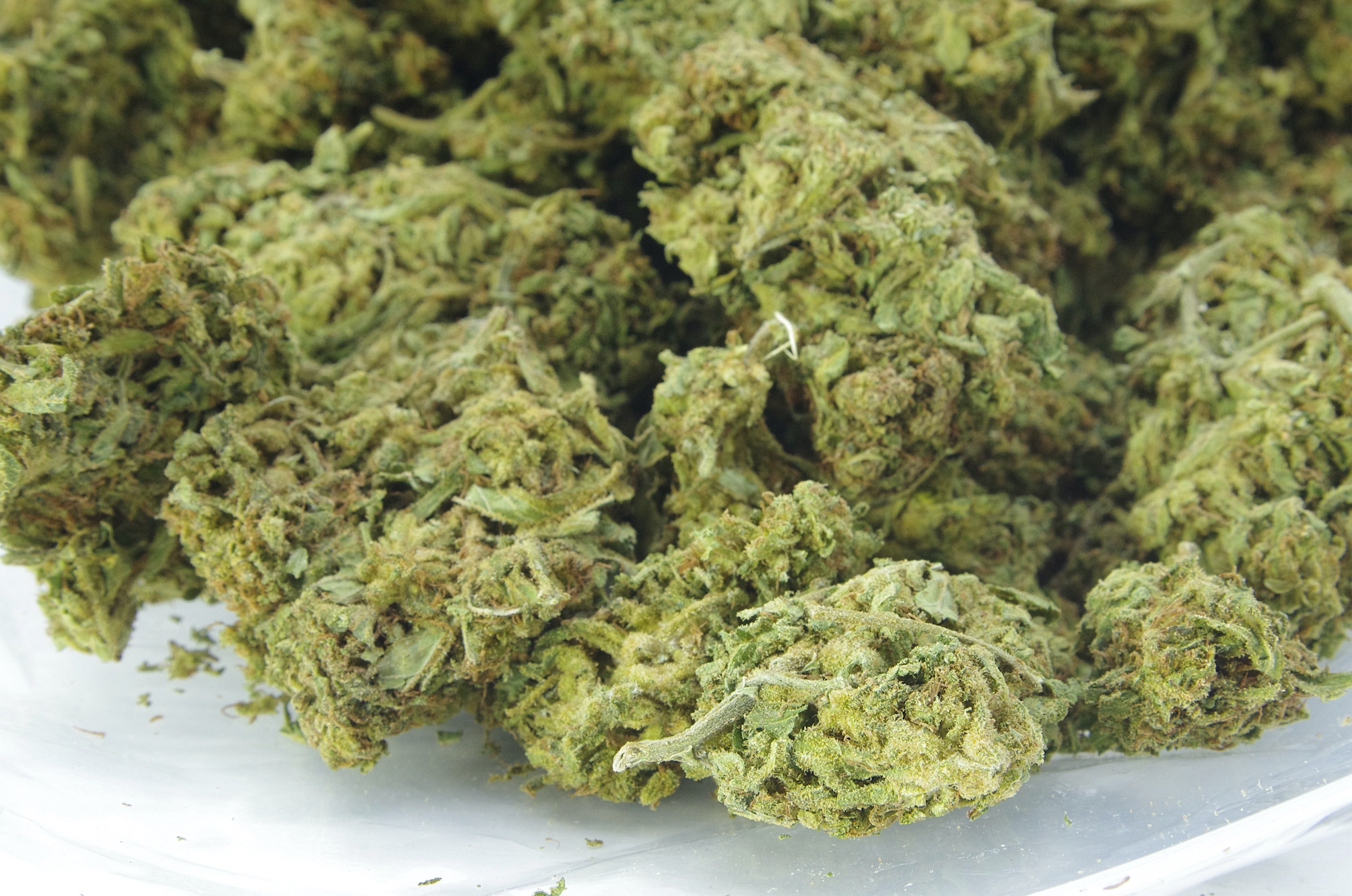 Blueberry AK Bag Blueberry AK (Oz Special)