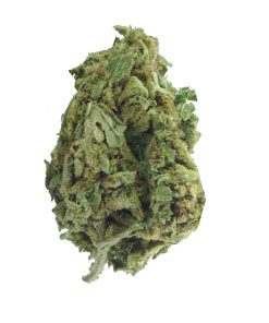 Buy blueberry ak online