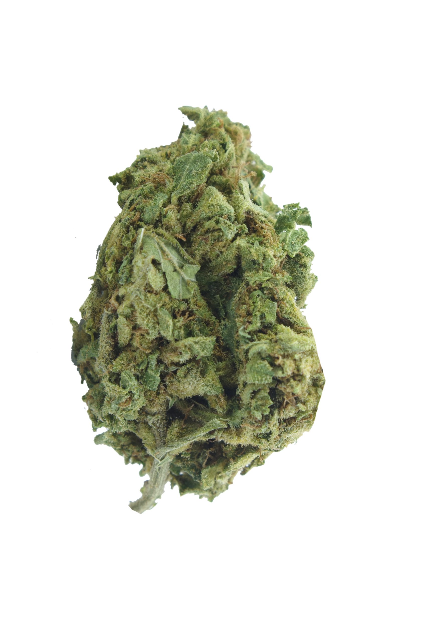 Blueberry AK Bud scaled Blueberry AK (Oz Special)