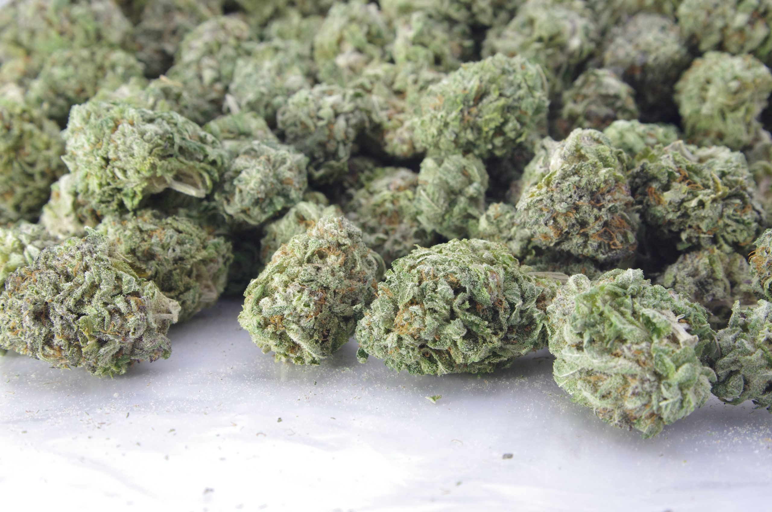 Bubba skywalker bag scaled Bubba Skywalker (Oz Special)