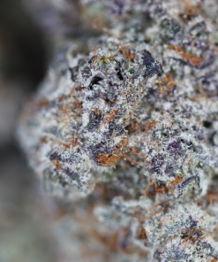 Double Kush Breath Bag Double Kush Breath Bag