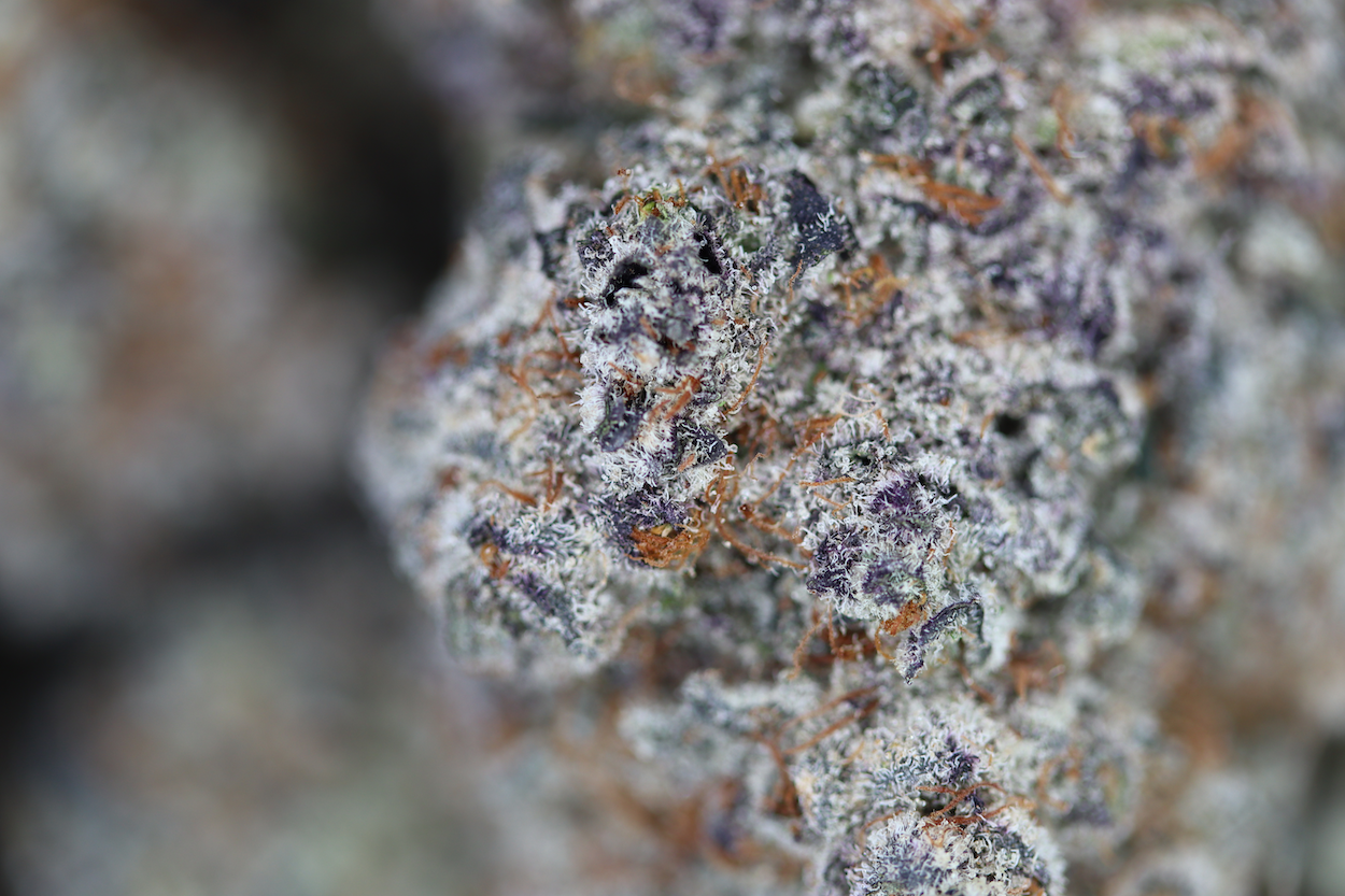 Double Kush Breath Bag Double Kush Breath