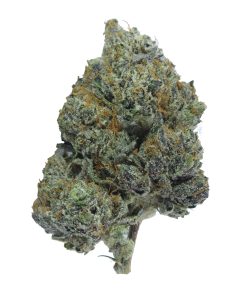 buy gas militia black skunk online