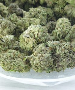 Gastown OG Bag Gastown OG Bag