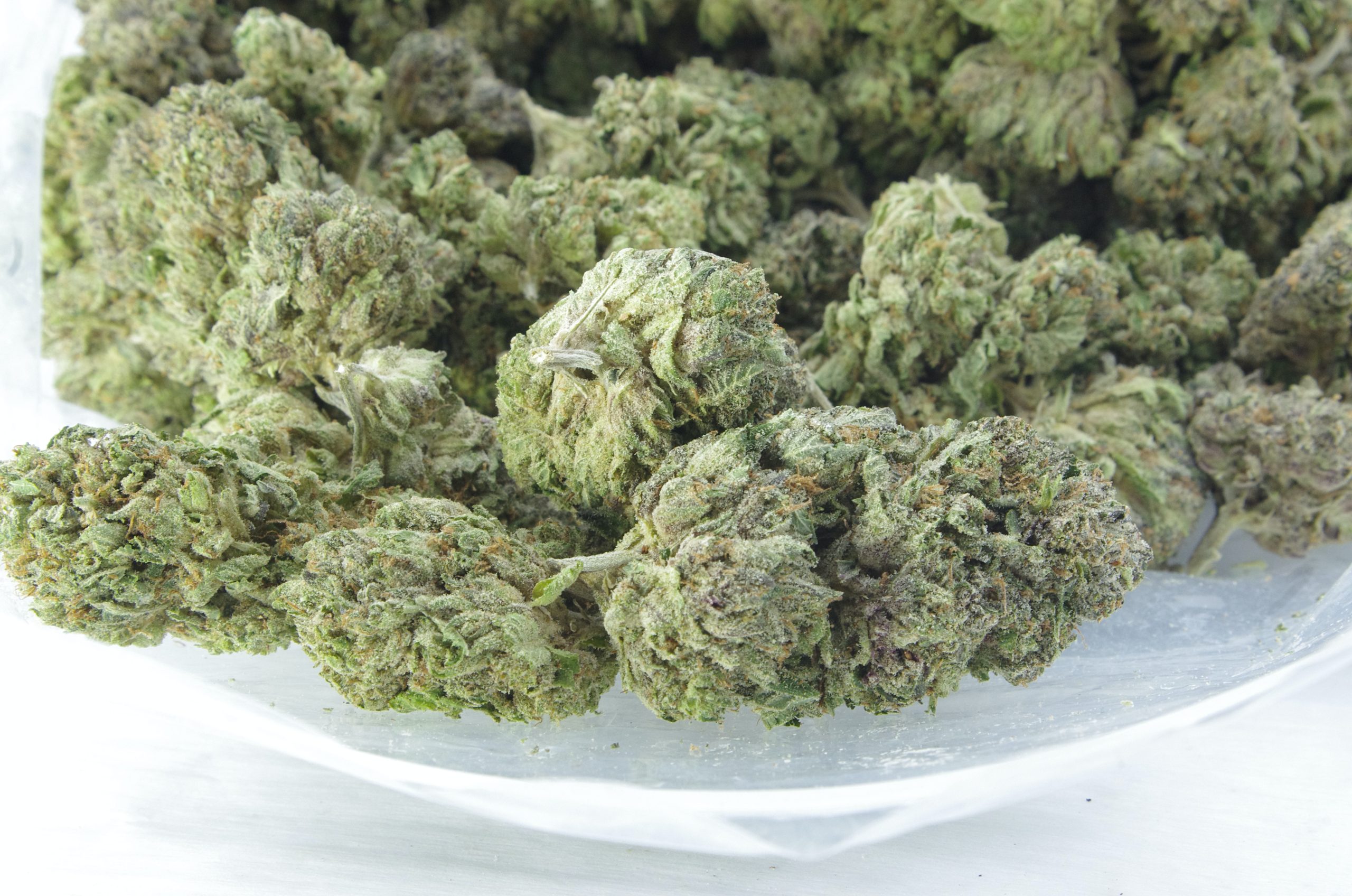 Gastown OG Bag scaled Gastown OG (Oz Special)
