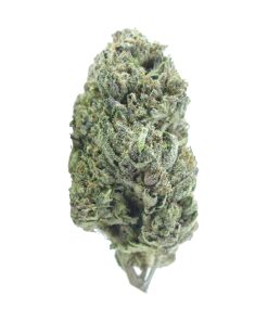 buy gastown og online