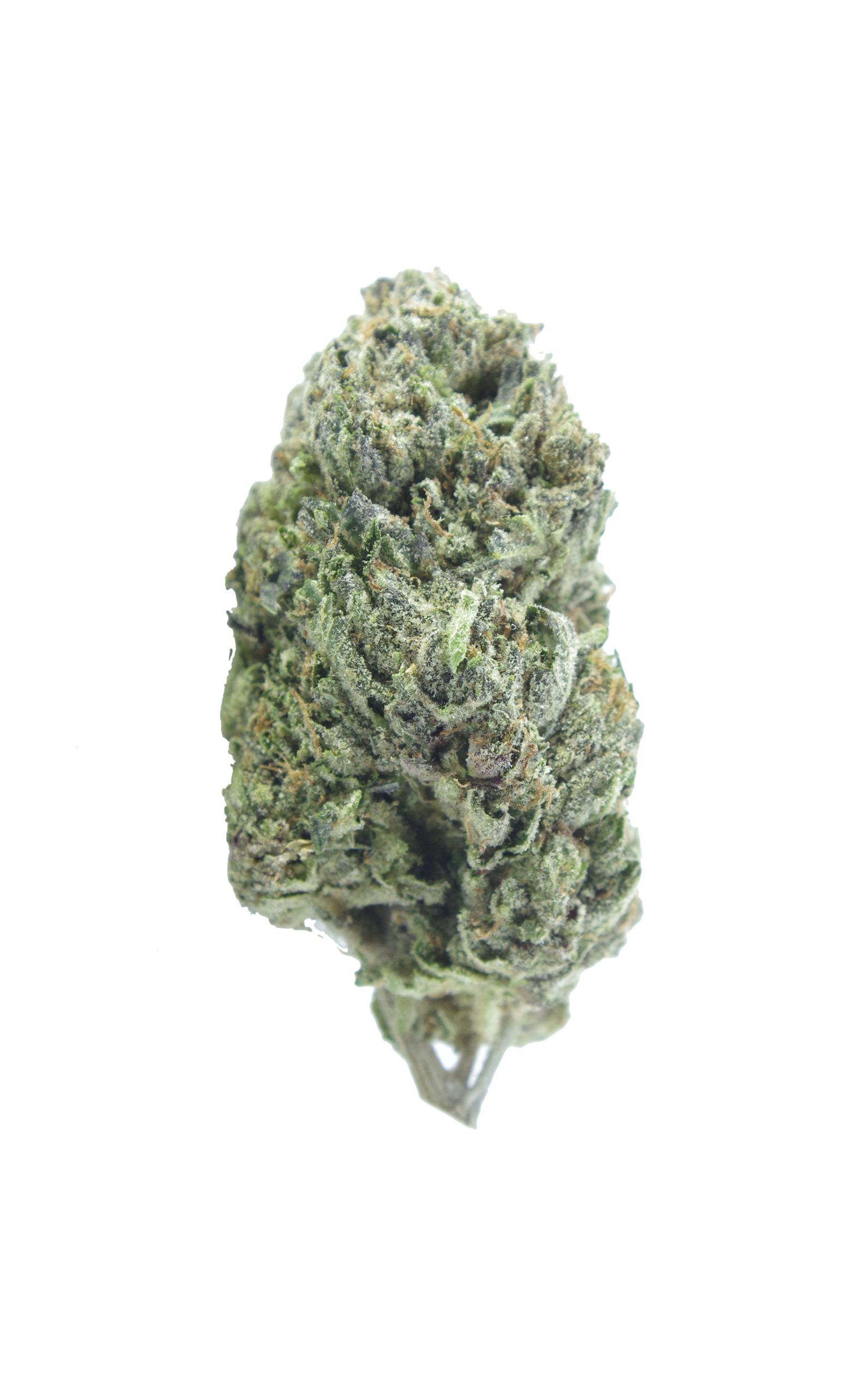 Gastown OG Bud Nov2 scaled Gastown OG (Oz Special)