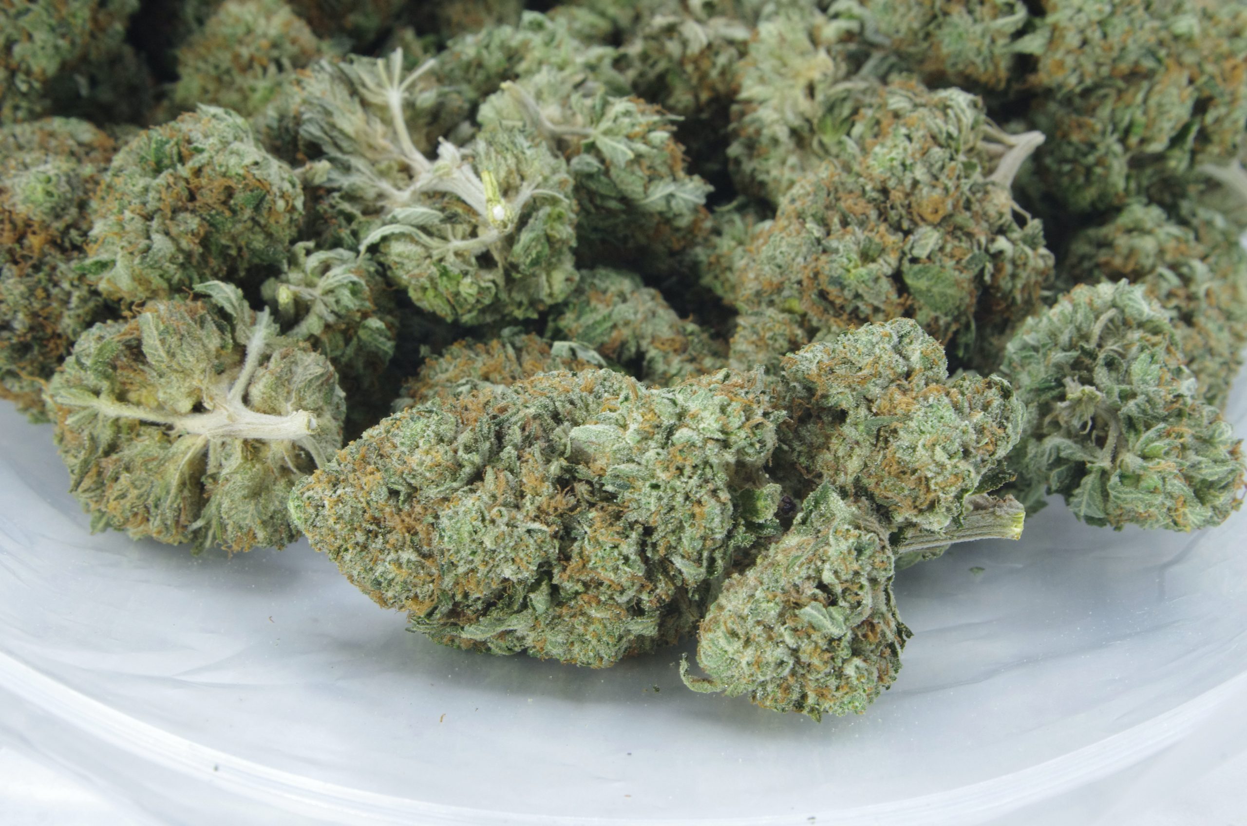 Ghost bubba bag scaled Ghost Bubba (Oz Special)