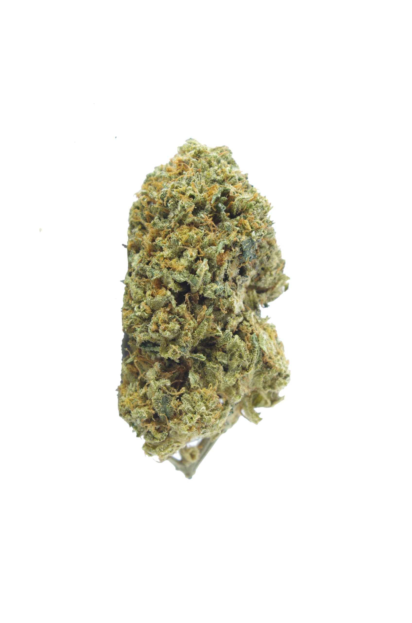 Golden Berry bud scaled Golden Berry (Oz Special)