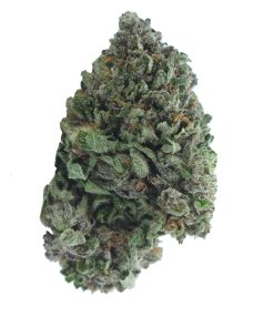 Buy greasy pink online