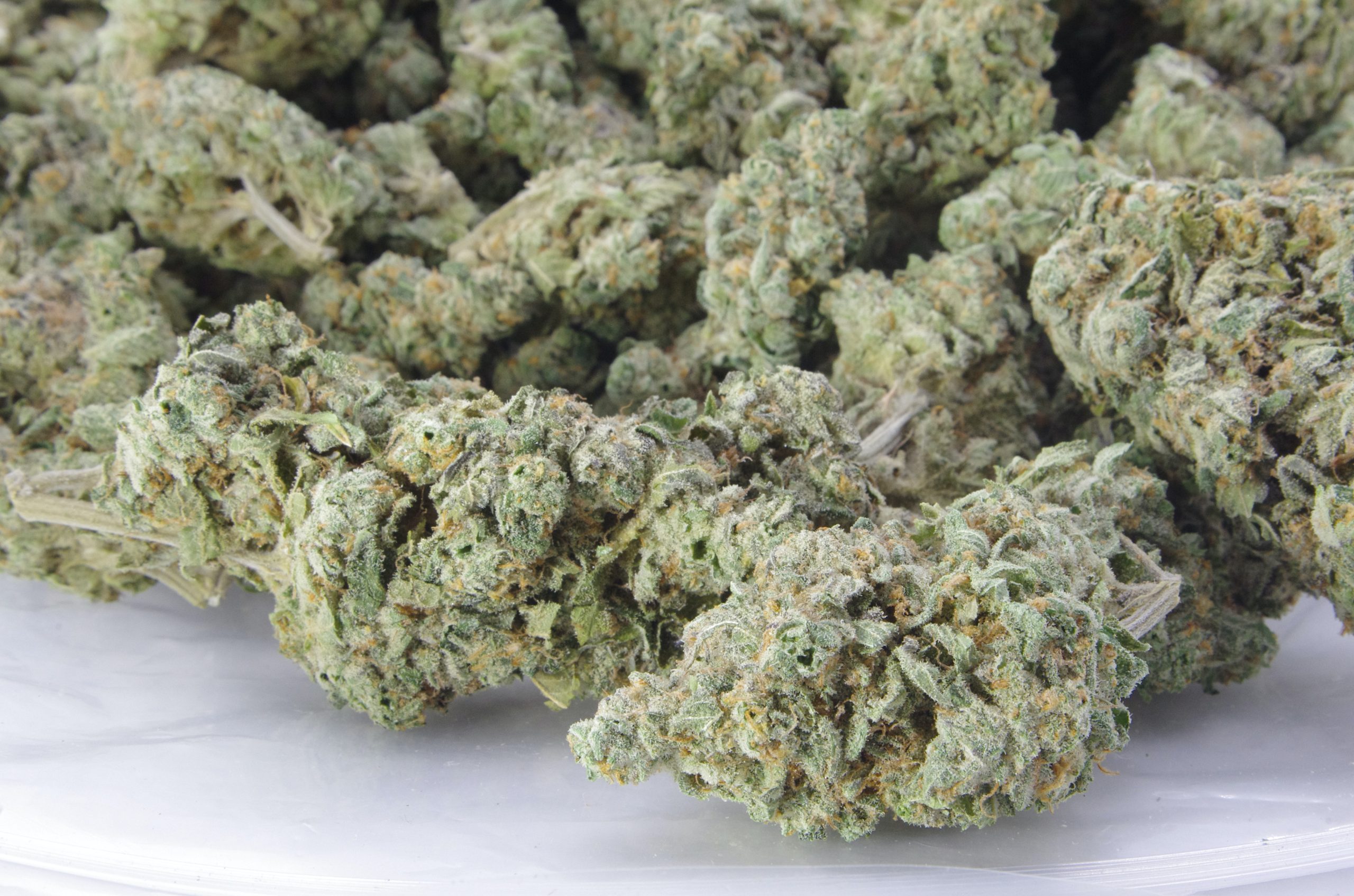 Mandarin Zkittles bag scaled Mandarin Zkittles (Oz Special)