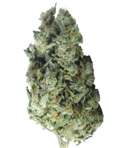 buy mandarin zkittels online
