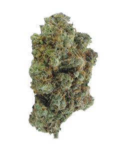 buy mango peyote online