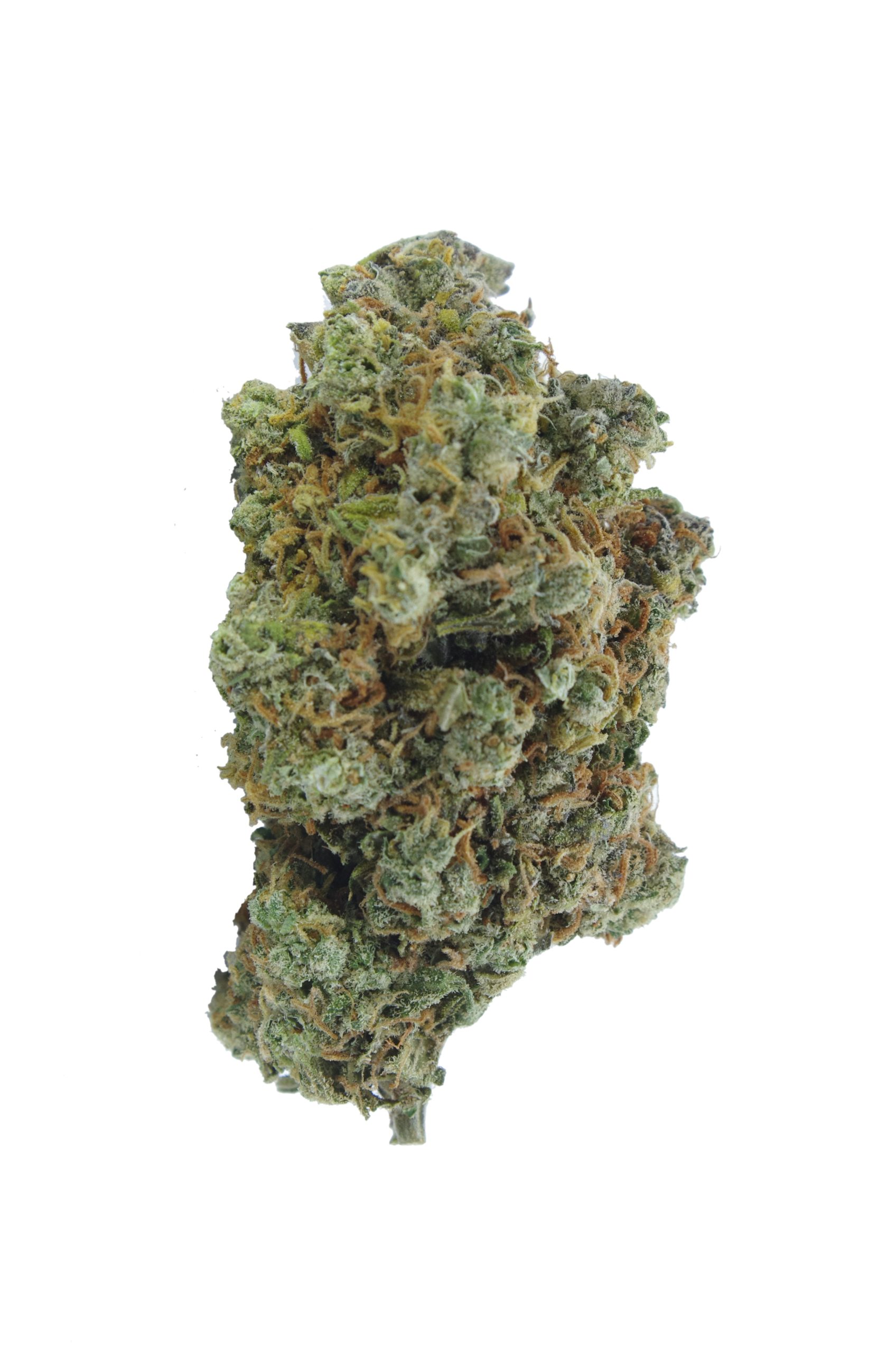 Mango Peyote bud scaled Mango Peyote (Oz Special)