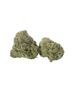 buy rose kush online