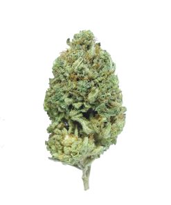buy sunshine haze online