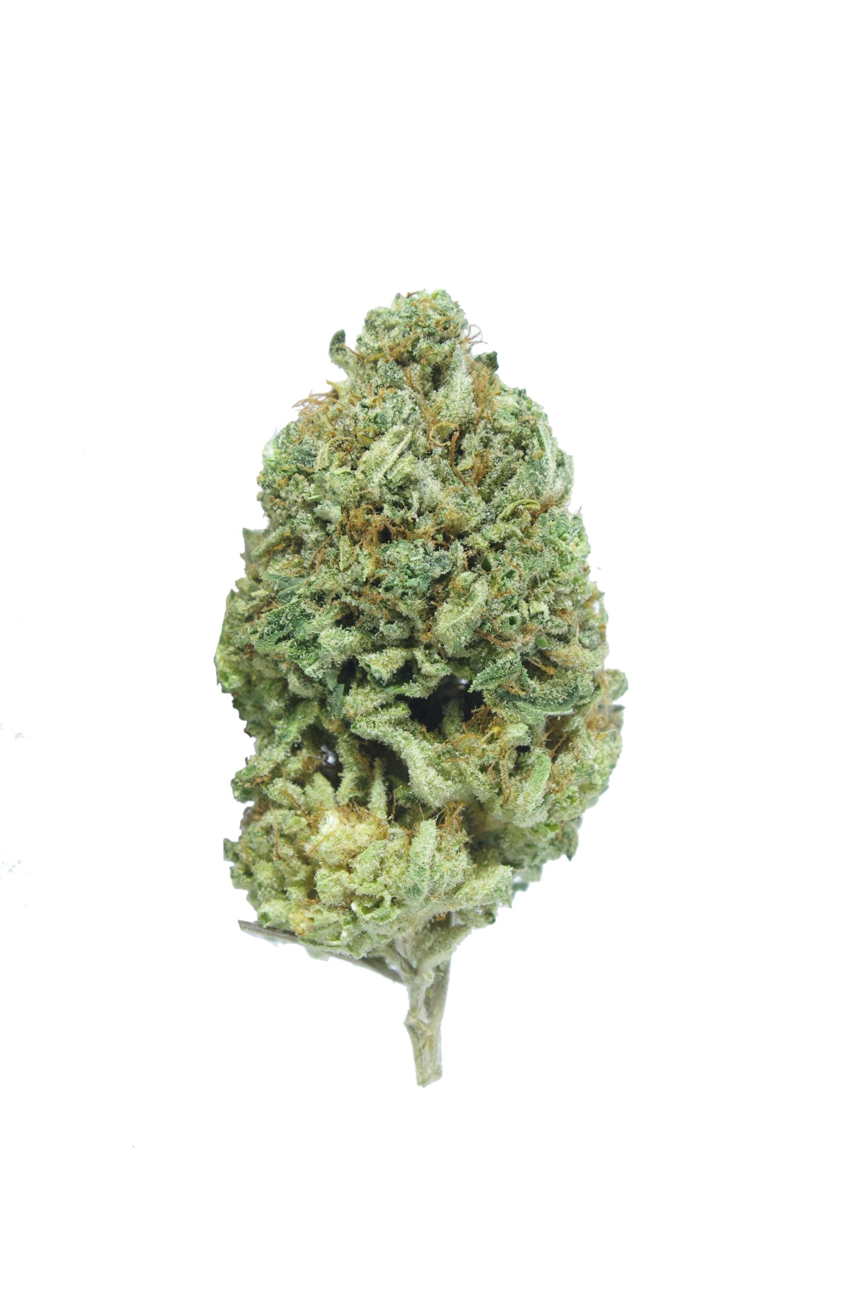Sunshine haze bud scaled Sunshine Haze (Oz Special)
