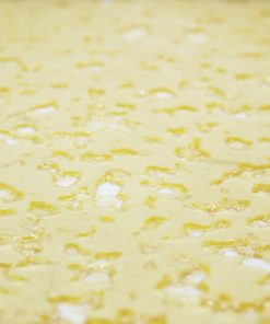 buy white truffle online