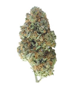 buy ak-47 online