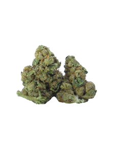 buy biscotti smalls online